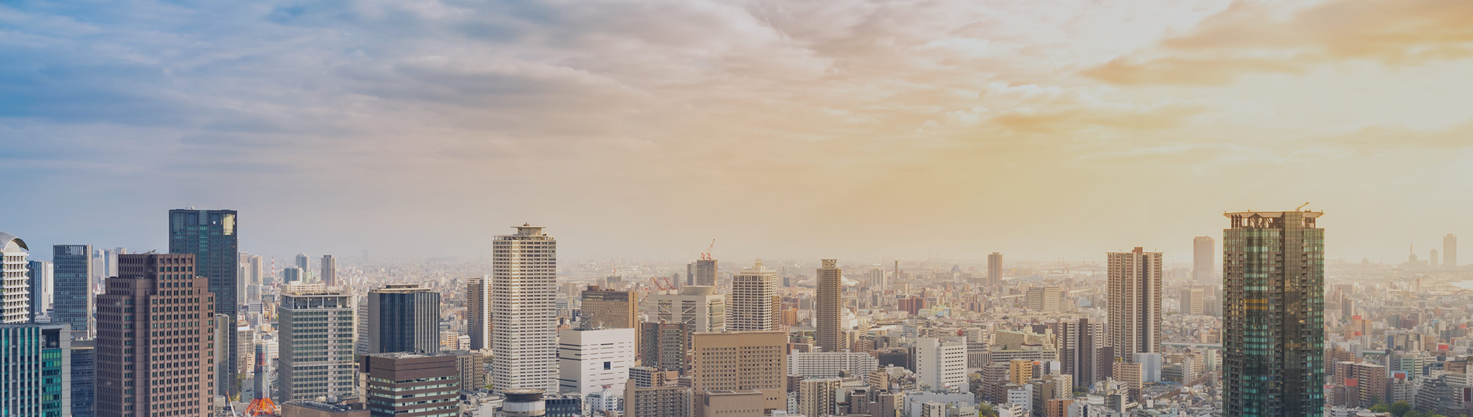 company 企業情報