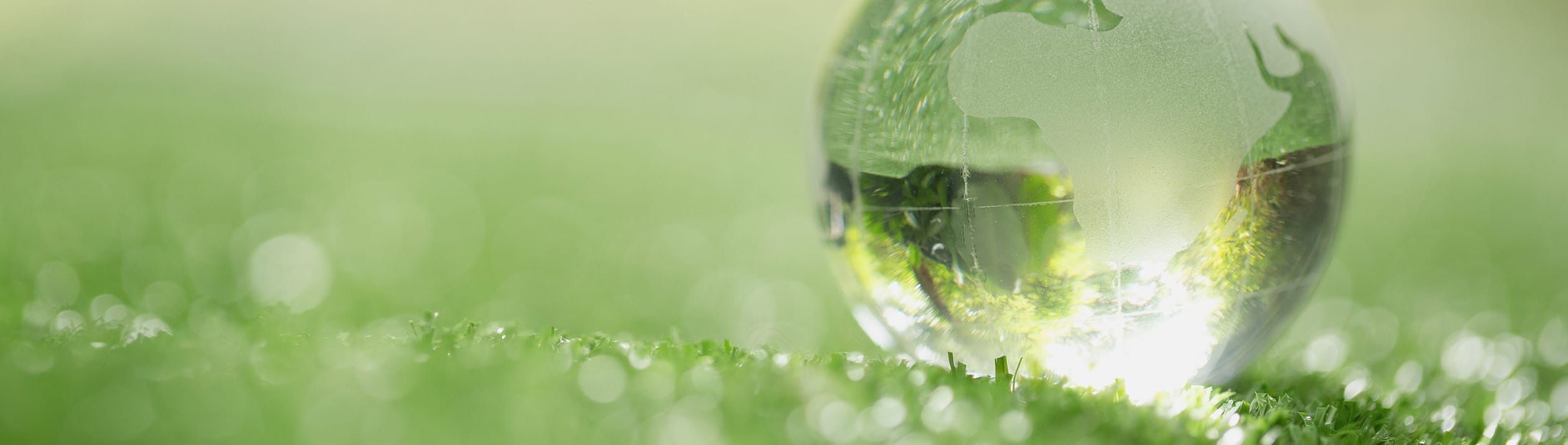 SDGs サステナビリティの取り組み